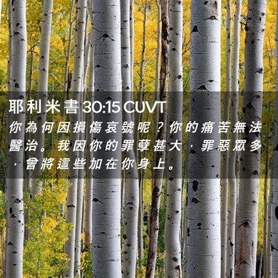 Picture 02 - 耶 利 米 書 30:15 CUVT - 你 為 何 因 損 傷 哀 號 呢 ？ 你 的 - Bible Verse Picture