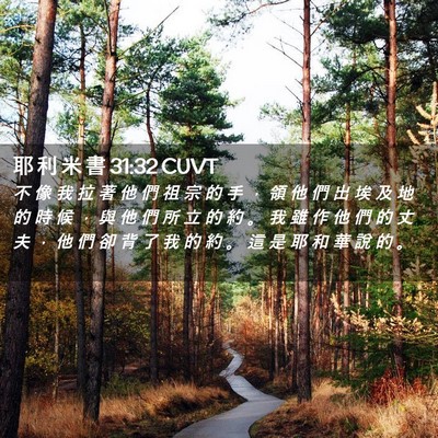 Picture 02 - 耶 利 米 書 31:32 CUVT - 不 像 我 拉 著 他 們 祖 宗 的 手 ， - Bible Verse Picture