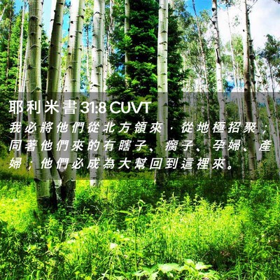 Picture 02 - 耶 利 米 書 31:8 CUVT - 我 必 將 他 們 從 北 方 領 來 ， 從 - Bible Verse Picture