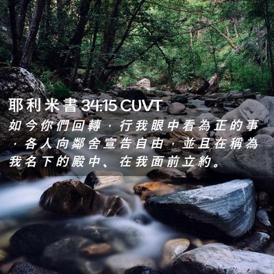 Picture 02 - 耶 利 米 書 34:15 CUVT - 如 今 你 們 回 轉 ， 行 我 眼 中 看 - Bible Verse Picture