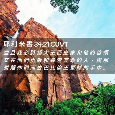 Picture 02 - 耶 利 米 書 34:21 CUVT - 並 且 我 必 將 猶 大 王 西 底 家 和 - Bible Verse Picture