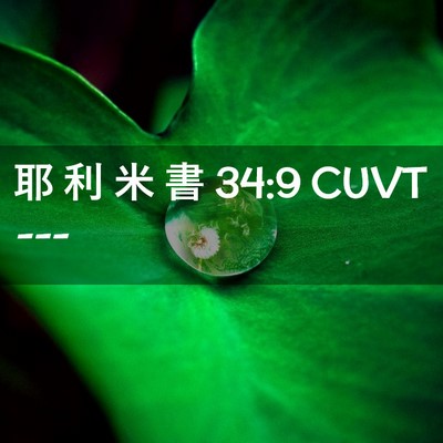 Picture 02 - 耶 利 米 書 34:9 CUVT -  - Bible Verse Picture