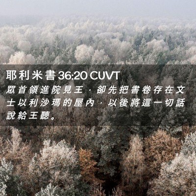 Picture 02 - 耶 利 米 書 36:20 CUVT - 眾 首 領 進 院 見 王 ， 卻 先 把 書 - Bible Verse Picture
