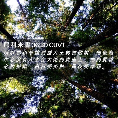 Picture 02 - 耶 利 米 書 36:30 CUVT - 所 以 耶 和 華 論 到 猶 大 王 約 雅 - Bible Verse Picture