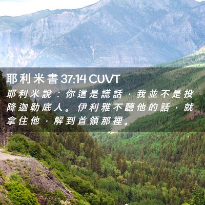 Picture 02 - 耶 利 米 書 37:14 CUVT - 耶 利 米 說 ： 你 這 是 謊 話 ， 我 - Bible Verse Picture