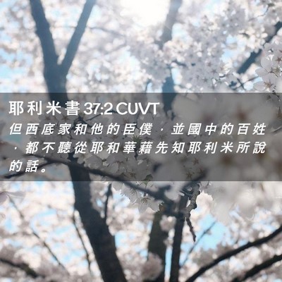 Picture 02 - 耶 利 米 書 37:2 CUVT - 但 西 底 家 和 他 的 臣 僕 ， 並 國 - Bible Verse Picture