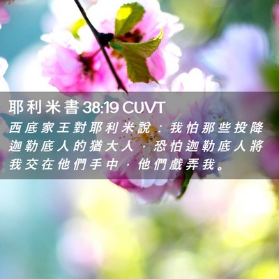 Picture 02 - 耶 利 米 書 38:19 CUVT - 西 底 家 王 對 耶 利 米 說 ： 我 怕 - Bible Verse Picture