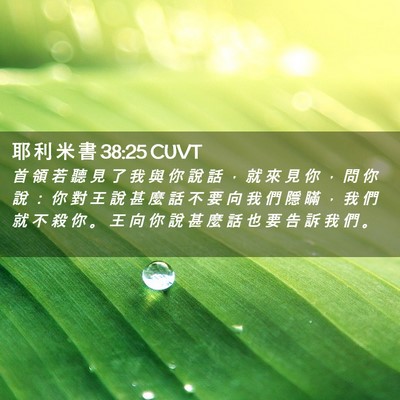 Picture 02 - 耶 利 米 書 38:25 CUVT - 首 領 若 聽 見 了 我 與 你 說 話 ， - Bible Verse Picture