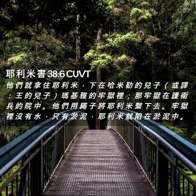 Picture 02 - 耶 利 米 書 38:6 CUVT - 他 們 就 拿 住 耶 利 米 ， 下 在 哈 - Bible Verse Picture