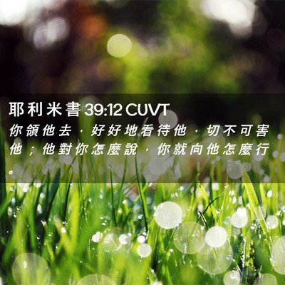 Picture 02 - 耶 利 米 書 39:12 CUVT - 你 領 他 去 ， 好 好 地 看 待 他 ， - Bible Verse Picture