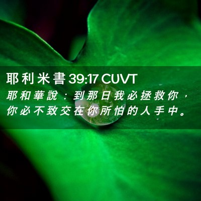 Picture 02 - 耶 利 米 書 39:17 CUVT - 耶 和 華 說 ： 到 那 日 我 必 拯 救 - Bible Verse Picture