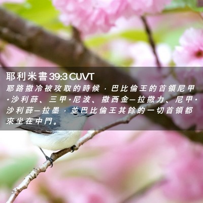 Picture 02 - 耶 利 米 書 39:3 CUVT - 耶 路 撒 冷 被 攻 取 的 時 候 ， 巴 - Bible Verse Picture