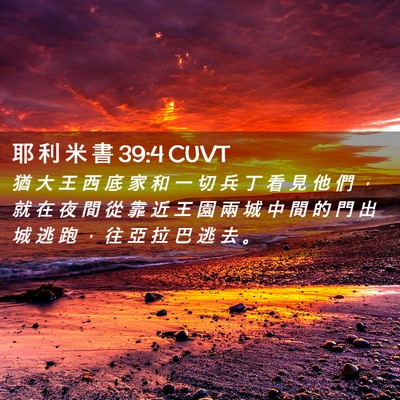 Picture 02 - 耶 利 米 書 39:4 CUVT - 猶 大 王 西 底 家 和 一 切 兵 丁 看 - Bible Verse Picture