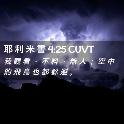 Picture 02 - 耶 利 米 書 4:25 CUVT - 我 觀 看 ， 不 料 ， 無 人 ； 空 中 - Bible Verse Picture
