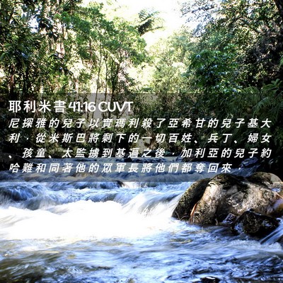 Picture 02 - 耶 利 米 書 41:16 CUVT - 尼 探 雅 的 兒 子 以 實 瑪 利 殺 了 - Bible Verse Picture