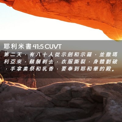 Picture 02 - 耶 利 米 書 41:5 CUVT - 第 二 天 ， 有 八 十 人 從 示 劍 和 - Bible Verse Picture