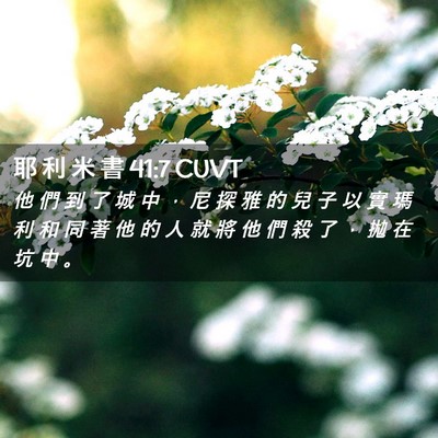 Picture 02 - 耶 利 米 書 41:7 CUVT - 他 們 到 了 城 中 ， 尼 探 雅 的 兒 - Bible Verse Picture