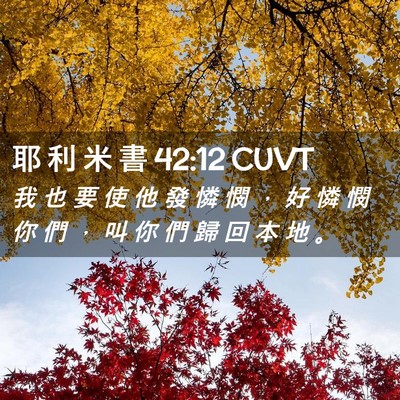 Picture 02 - 耶 利 米 書 42:12 CUVT - 我 也 要 使 他 發 憐 憫 ， 好 憐 憫 - Bible Verse Picture
