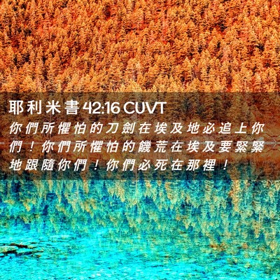 Picture 02 - 耶 利 米 書 42:16 CUVT - 你 們 所 懼 怕 的 刀 劍 在 埃 及 地 - Bible Verse Picture