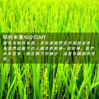 Picture 02 - 耶 利 米 書 42:2 CUVT - 對 先 知 耶 利 米 說 ： 求 你 准 我 - Bible Verse Picture