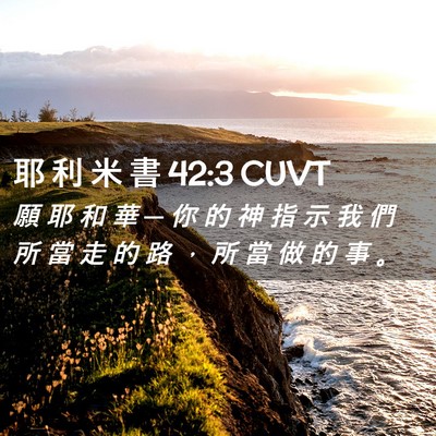 Picture 02 - 耶 利 米 書 42:3 CUVT - 願 耶 和 華 ─ 你 的 神 指 示 我 們 - Bible Verse Picture