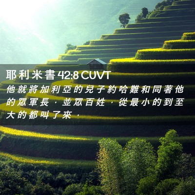 Picture 02 - 耶 利 米 書 42:8 CUVT - 他 就 將 加 利 亞 的 兒 子 約 哈 難 - Bible Verse Picture