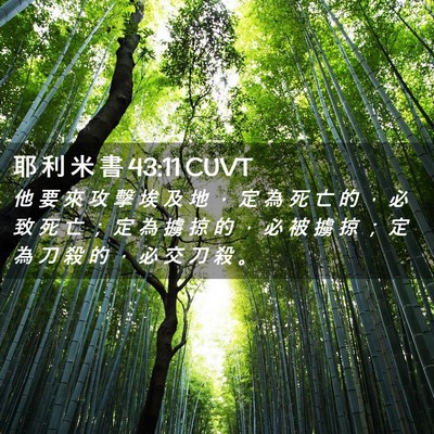 Picture 02 - 耶 利 米 書 43:11 CUVT - 他 要 來 攻 擊 埃 及 地 ， 定 為 死 - Bible Verse Picture