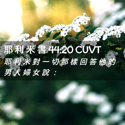Picture 02 - 耶 利 米 書 44:20 CUVT - 耶 利 米 對 一 切 那 樣 回 答 他 的 - Bible Verse Picture