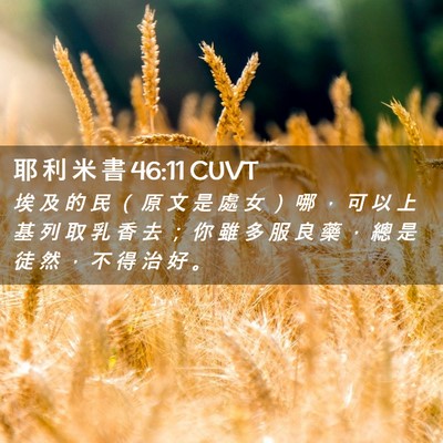 Picture 02 - 耶 利 米 書 46:11 CUVT - 埃 及 的 民 （ 原 文 是 處 女 ） 哪 - Bible Verse Picture