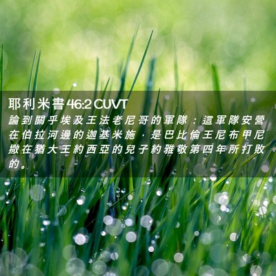 Picture 02 - 耶 利 米 書 46:2 CUVT - 論 到 關 乎 埃 及 王 法 老 尼 哥 的 - Bible Verse Picture