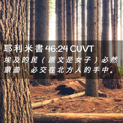 Picture 02 - 耶 利 米 書 46:24 CUVT - 埃 及 的 民 （ 原 文 是 女 子 ） 必 - Bible Verse Picture