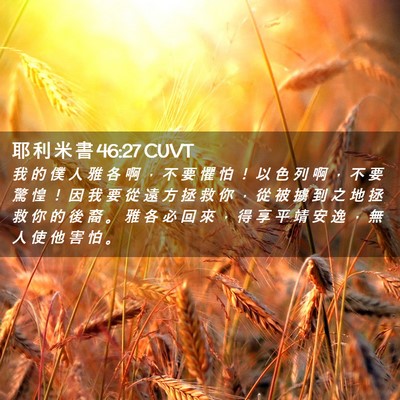 Picture 02 - 耶 利 米 書 46:27 CUVT - 我 的 僕 人 雅 各 啊 ， 不 要 懼 怕 - Bible Verse Picture
