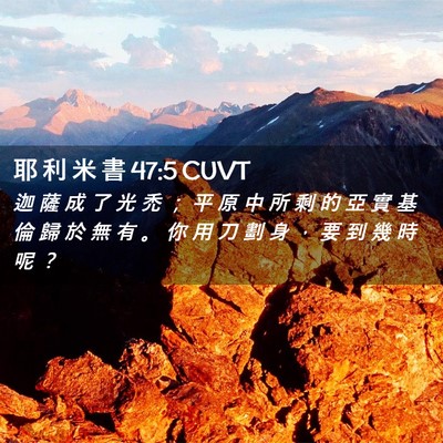 Picture 02 - 耶 利 米 書 47:5 CUVT - 迦 薩 成 了 光 禿 ； 平 原 中 所 剩 - Bible Verse Picture