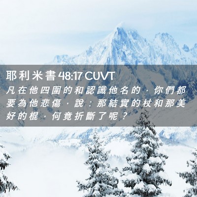 Picture 02 - 耶 利 米 書 48:17 CUVT - 凡 在 他 四 圍 的 和 認 識 他 名 的 - Bible Verse Picture