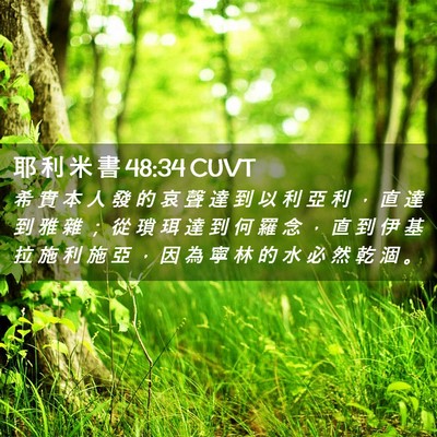 Picture 02 - 耶 利 米 書 48:34 CUVT - 希 實 本 人 發 的 哀 聲 達 到 以 利 - Bible Verse Picture