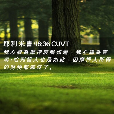 Picture 02 - 耶 利 米 書 48:36 CUVT - 我 心 腹 為 摩 押 哀 鳴 如 簫 ， 我 - Bible Verse Picture