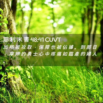 Picture 02 - 耶 利 米 書 48:41 CUVT - 加 略 被 攻 取 ， 保 障 也 被 佔 據 - Bible Verse Picture