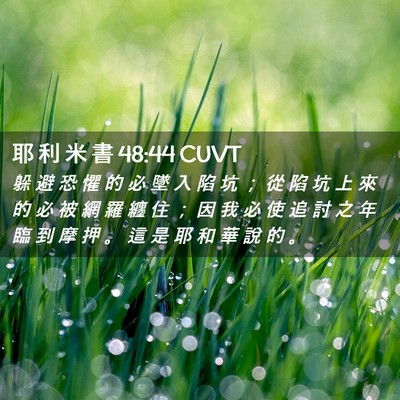 Picture 02 - 耶 利 米 書 48:44 CUVT - 躲 避 恐 懼 的 必 墜 入 陷 坑 ； 從 - Bible Verse Picture