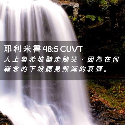 Picture 02 - 耶 利 米 書 48:5 CUVT - 人 上 魯 希 坡 隨 走 隨 哭 ， 因 為 - Bible Verse Picture
