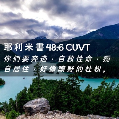 Picture 02 - 耶 利 米 書 48:6 CUVT - 你 們 要 奔 逃 ， 自 救 性 命 ， 獨 - Bible Verse Picture