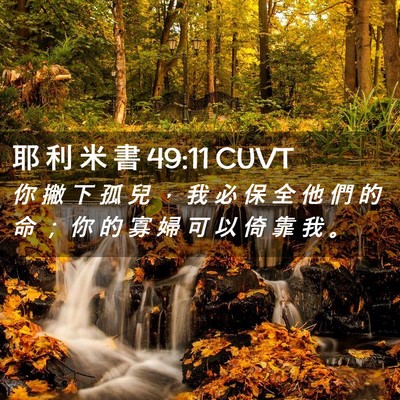 Picture 02 - 耶 利 米 書 49:11 CUVT - 你 撇 下 孤 兒 ， 我 必 保 全 他 們 - Bible Verse Picture