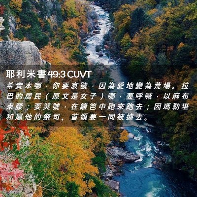Picture 02 - 耶 利 米 書 49:3 CUVT - 希 實 本 哪 ， 你 要 哀 號 ， 因 為 - Bible Verse Picture