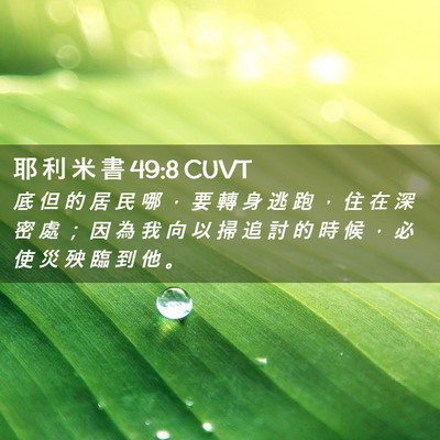 Picture 02 - 耶 利 米 書 49:8 CUVT - 底 但 的 居 民 哪 ， 要 轉 身 逃 跑 - Bible Verse Picture