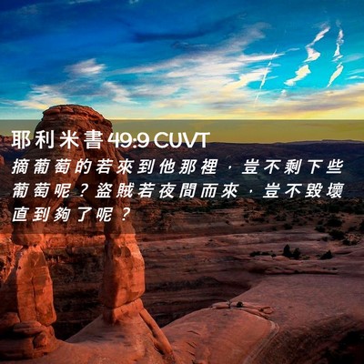 Picture 02 - 耶 利 米 書 49:9 CUVT - 摘 葡 萄 的 若 來 到 他 那 裡 ， 豈 - Bible Verse Picture