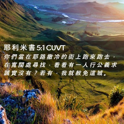 Picture 02 - 耶 利 米 書 5:1 CUVT - 你 們 當 在 耶 路 撒 冷 的 街 上 跑 - Bible Verse Picture