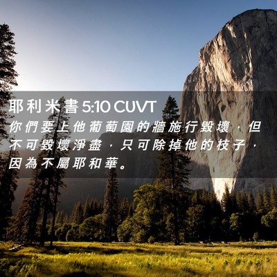 Picture 02 - 耶 利 米 書 5:10 CUVT - 你 們 要 上 他 葡 萄 園 的 牆 施 行 - Bible Verse Picture