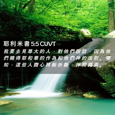 Picture 02 - 耶 利 米 書 5:5 CUVT - 我 要 去 見 尊 大 的 人 ， 對 他 們 - Bible Verse Picture