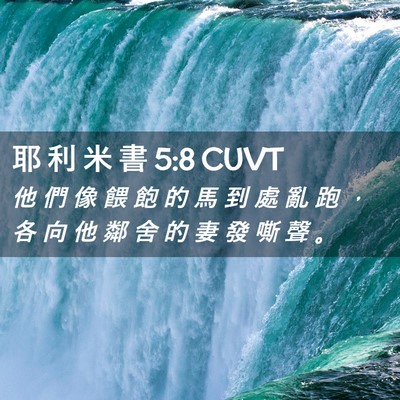 Picture 02 - 耶 利 米 書 5:8 CUVT - 他 們 像 餵 飽 的 馬 到 處 亂 跑 ， - Bible Verse Picture