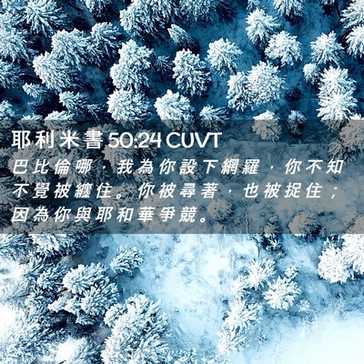 Picture 02 - 耶 利 米 書 50:24 CUVT - 巴 比 倫 哪 ， 我 為 你 設 下 網 羅 - Bible Verse Picture
