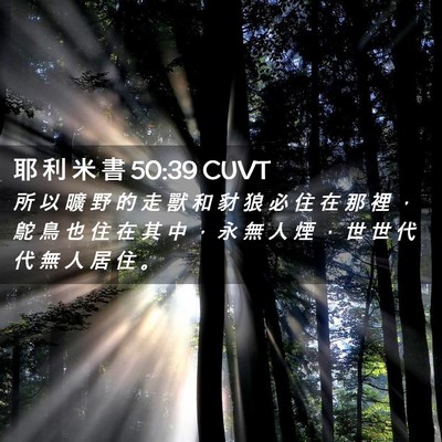 Picture 02 - 耶 利 米 書 50:39 CUVT - 所 以 曠 野 的 走 獸 和 豺 狼 必 住 - Bible Verse Picture